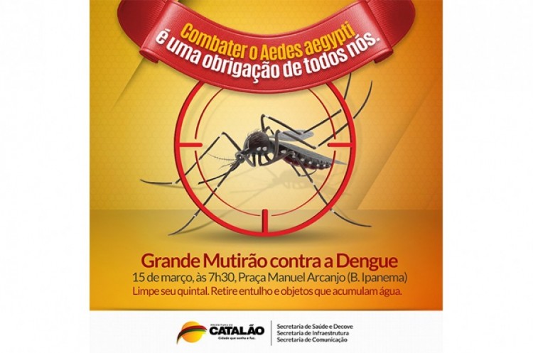 Guerra declarada: Saúde e outras áreas se unem numa grande mobilização contra a dengue