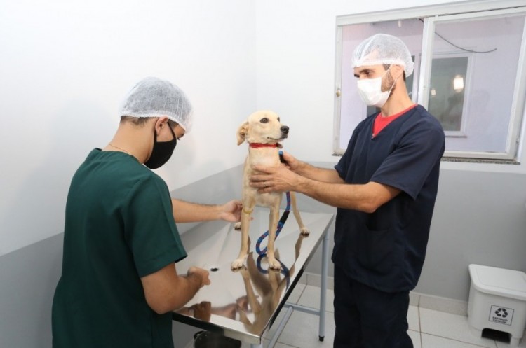 Em pouco mais de 20 dias de funcionamento, Centro de Castração e Reinserção de Cães e Gatos já realizou praticamente 130 procedimentos de graça em Catalão