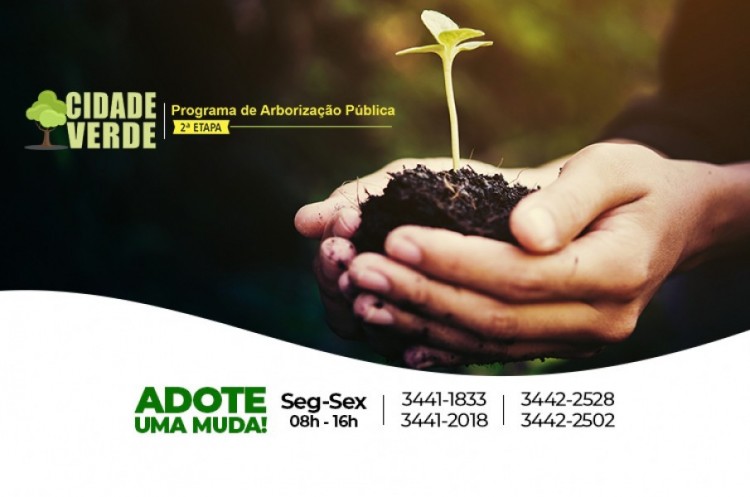 Programa Cidade Verde: em segunda etapa projeto da Prefeitura segue arborizando Catalão