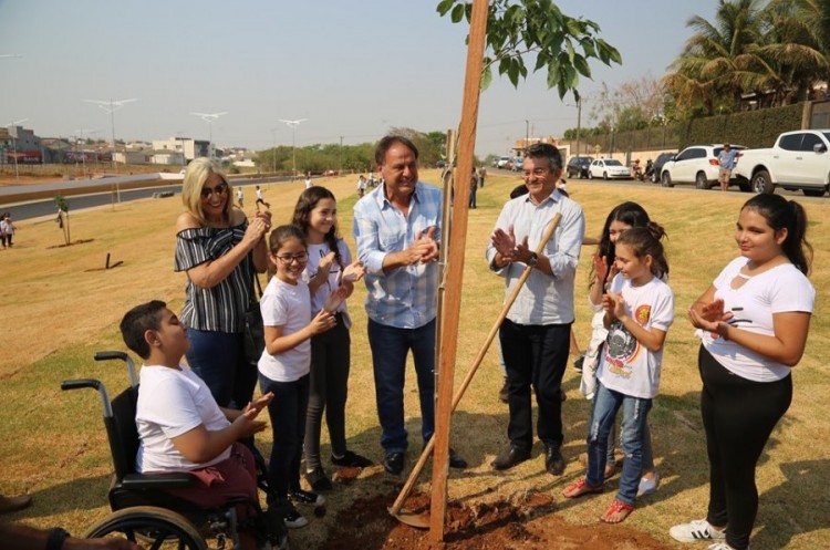 Dezenas de mudas de árvores são plantadas no entorno da obra de canalização do Córrego Pirapitinga 