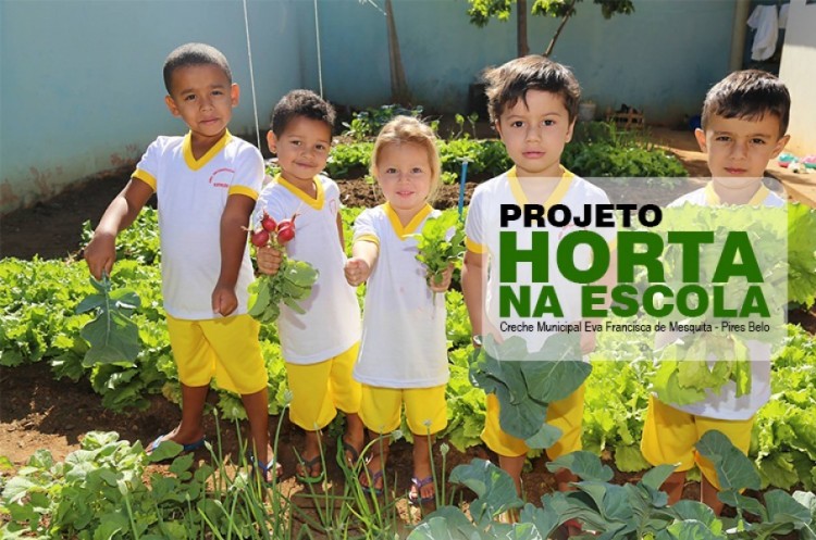 Projeto Horta Pedagógica está beneficiando a comunidade de Pires Belo