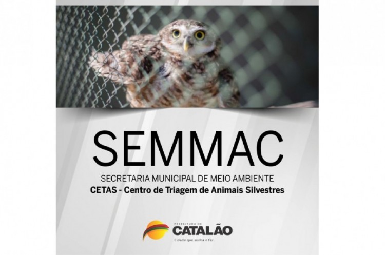 CETAS Catalão tem autorização de manejo da fauna silvestre renovada até 2020