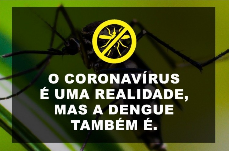 O Coronavírus é uma realidade, mas a dengue também é!